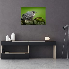 Tablou pe sticlă - Muscarul (70x50 cm)