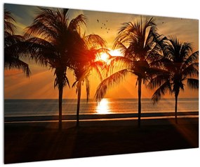 Tablou cu palmier în apus de soare (90x60 cm)