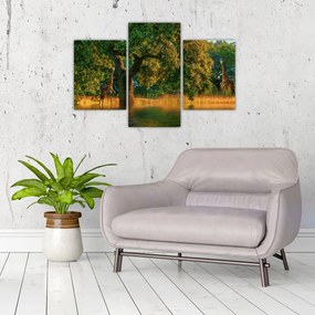 Tablou cu girafe în natură (90x60 cm)