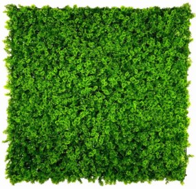 GreenWall Moss AD7001 Panou verde artificial, Azay Design, gradina verticala artificiala, gard viu cu licheni, 100 x 100 cm