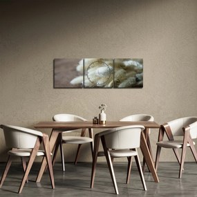 Tablou - Coadă de iepure (cu ceas) (90x30 cm)