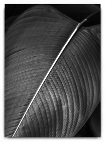 Abstract Leaves 01 BW