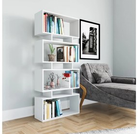 Raft Penike (alb) . 1092886