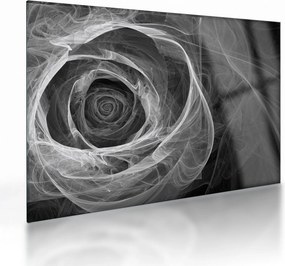 Tablou pe sticlă - Abstract trandafir negru și alb (70x50 cm)