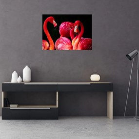 Tablou pe sticlă cu flamengo roșii (70x50 cm)
