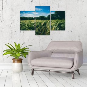 Tablou cu linca și pădure (90x60 cm)