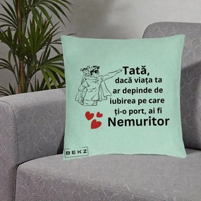 Cadou pentru Tata - Perna Personalizata Tata Nemuritor Supererou cu Masca, 40x40 cm, Verde Menta, Husa Detasabila, Perna Inclusa, BEKZ®