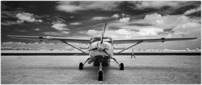 Tablou - Avion alb-negru și alb-negru (120x50 cm)
