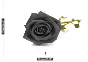 Fototapet Trandafir negru
