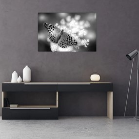 Tablou - Detailu cu fluture care polenizează floare (90x60 cm)