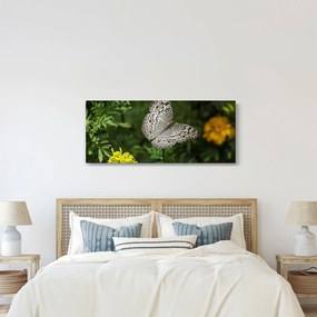 Tablou - fluture alb (120x50 cm)