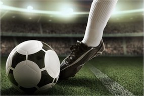 Tablou - Minge de fotbal (90x60 cm)