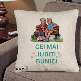 Cadou pentru Bunici - Perna Personalizata Cei Mai Iubiti Bunici Cuplu pe Banca Ilustratie, 40x40 cm, Bej Canapea, Husa Detasabila, Perna Inclusa, BEKZ®