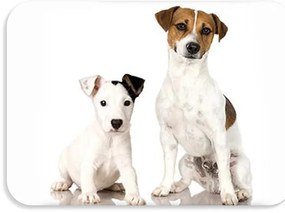 Suport de masa pentru copii 56x37 cm DOGS & CATS Varianta: Spotti