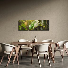 Tablou cu șopârlă (cu ceas) (90x30 cm)