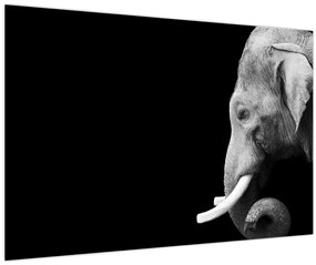 Tablou - Elefant (90x60 cm)