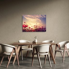 Tablou pe sticlă - Lunca cu flori (70x50 cm)