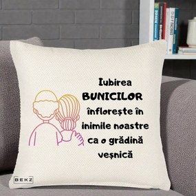 Cadou pentru Bunici - Perna Personalizata Iubirea Bunicilor Infloreste Cuplu Line Art Gradient, 40x40 cm, Crem Reliefat, Husa Detasabila, Perna Inclusa, BEKZ®