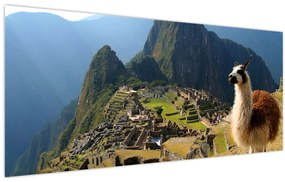 Tablou - Lama și Machu Picchu (120x50 cm)