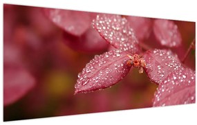 Tablou - Imagine macro a biletului (120x50 cm)