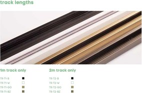 Spot pentru sina Track Project Collection, Orion 2 auriu