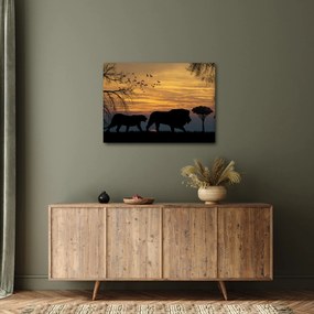 Tablou cu Safari (70x50 cm)