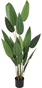 PLANTA DECOR PASAREA PARADISULUI, 25 FRUNZE, H 175 CM, VERDE