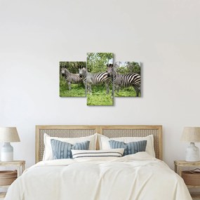 Tablou cu zebre (90x60 cm)