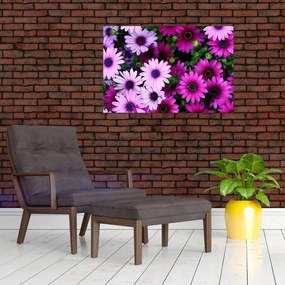 Tablou - Flori (90x60 cm)