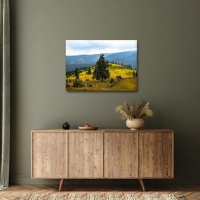 Tablou - Lunca de munte (70x50 cm)