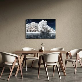 Tablou - Albă ca Zăpada Albă ca Zăpada Copaci (90x60 cm)
