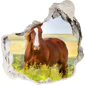 Fototapet 3D gaură în perete Cal maro