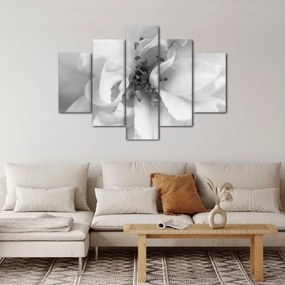 Tablou - Floare,alb-negru (150x105 cm)