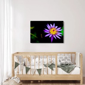 Tablou cu floare (90x60 cm)