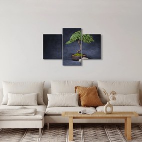 Tablou - Bonsai (90x60 cm)