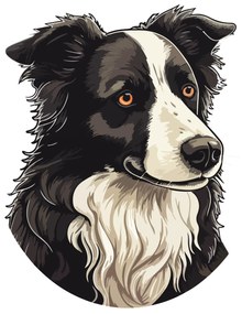 PIPPER. Autocolant Border Collie mărimea: 60cm