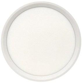 Plafonieră LED 18 W, 230 V, 3000/4000/6500 K, Ø 23 cm, alb