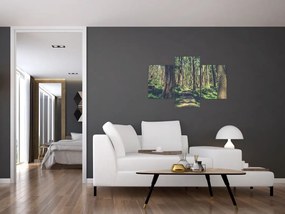 Tablou cu drum între copaci (90x60 cm)