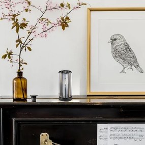 Lampă de masă Rabalux 74206 VENESS 1xE27/40W/230V