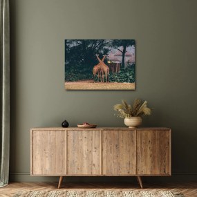 Tablou cu două girafe (70x50 cm)