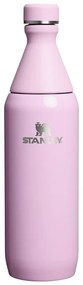 Sticlă termică roz din oțel inoxidabil 600 ml All Day Slim Bottle Cherry Blossom Gloss – Stanley