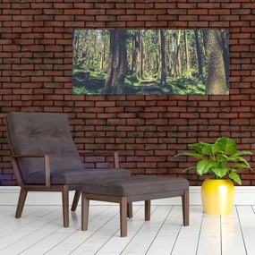 Tablou cu drum între copaci (120x50 cm)