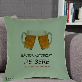 Perna Decorativa Bautor Autorizat de Bere, 40x40 cm, Verde, Husa Detasabila, Perna Inclusa, BEKZ®