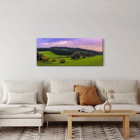 Tablou cu lunca (120x50 cm)