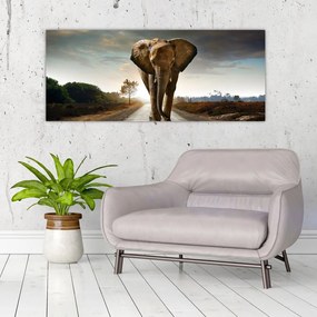 Tablou cu elefant (120x50 cm)