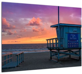 Tablou de pe plaja Santa Monica (70x50 cm)