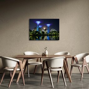 Tablou cu lună plină în grădinile din Singapur (70x50 cm)