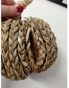 OFERTA Decoratiune dovleac PUMPKIN COACH GRASS II.calitate