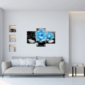 Tablou - Orhidee albastră (90x60 cm)