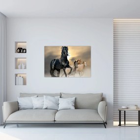 Tablou - Cai (90x60 cm)